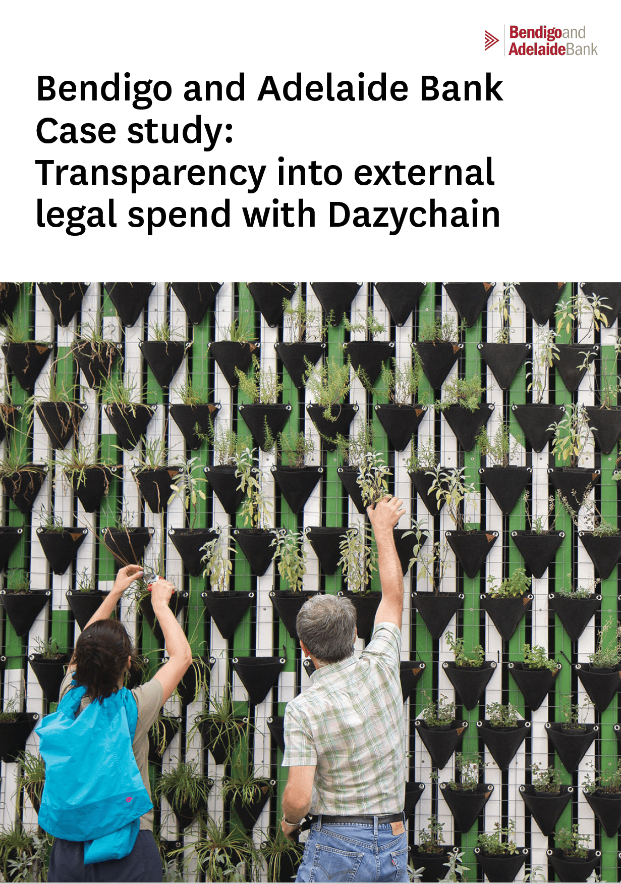 Dazychain Case Study