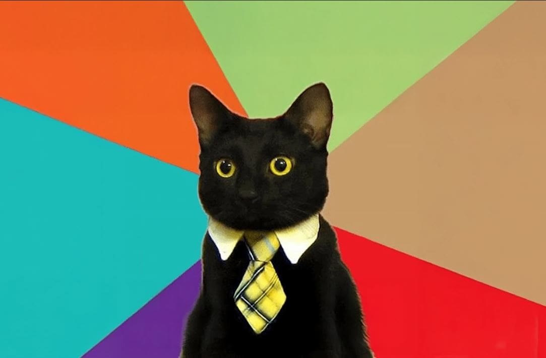 feature image for lawyer memese blog - a cat lawyer with a necktie