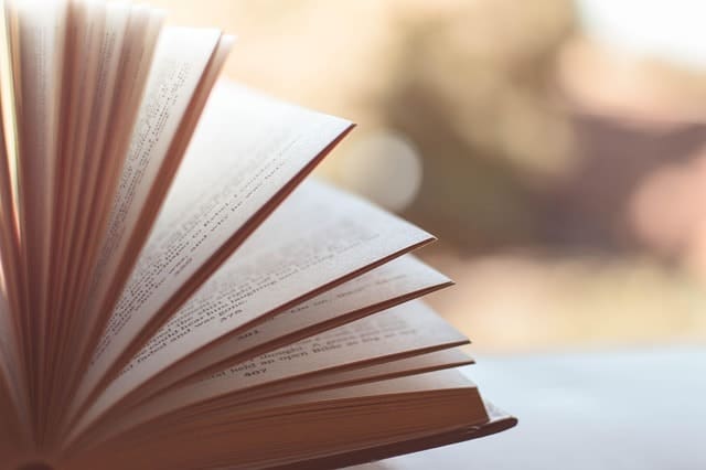 book, pages, chapters, open, open book, book pages, literature, knowledge, wisdom, read, reading, browsing,