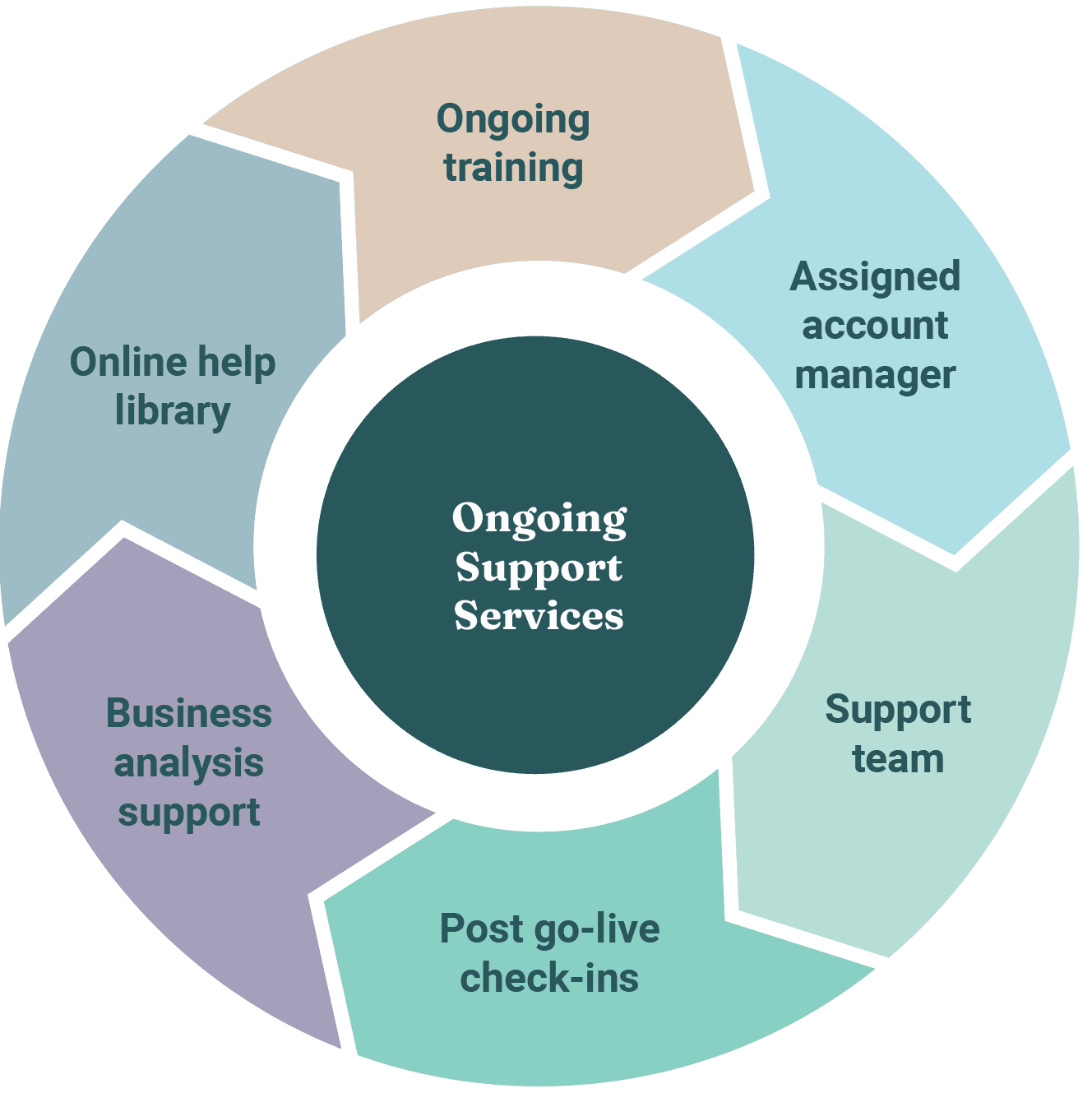 Dazychain ongoing support services